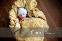 Carter: Newborn